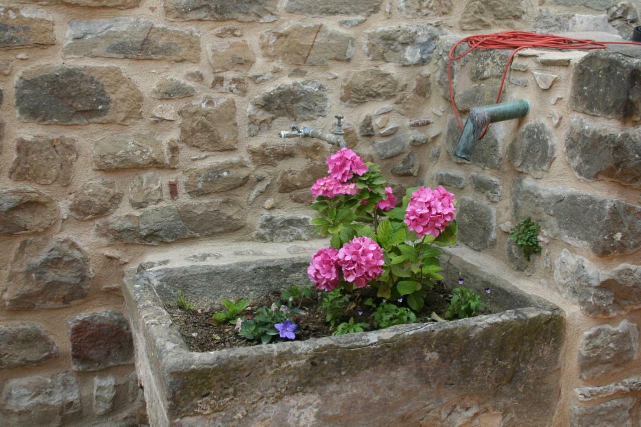 Mas Tulsà Rural Riudellots de la Creu Exterior foto