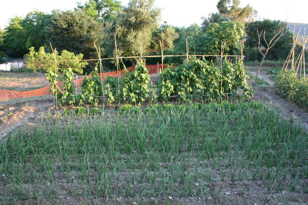 Mas Tulsà Rural Riudellots de la Creu Exterior foto